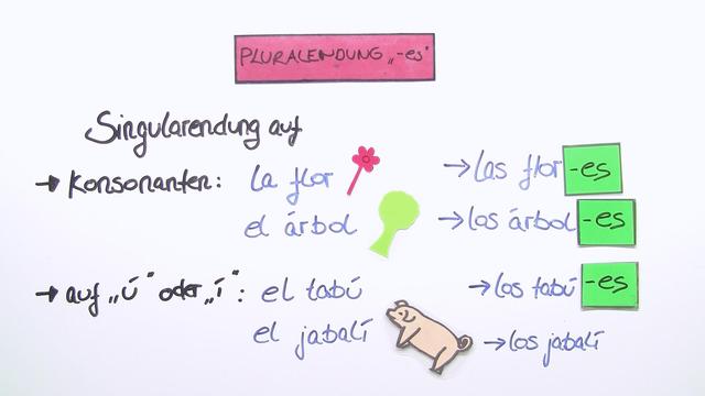 Substantive und Artikel auf Spanisch online lernen