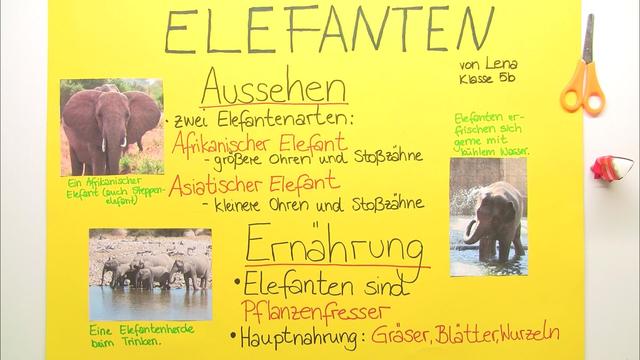 Ein Plakat gestalten erklärt inkl. Übungen