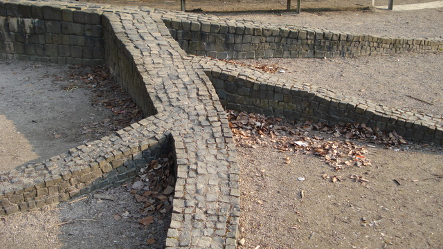 video image