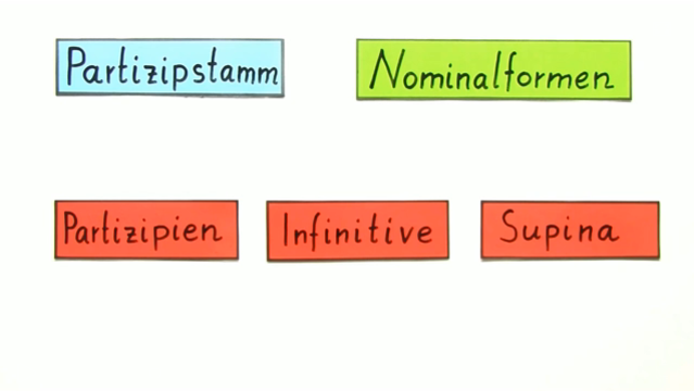 Partizip – Stamm und Verwendung