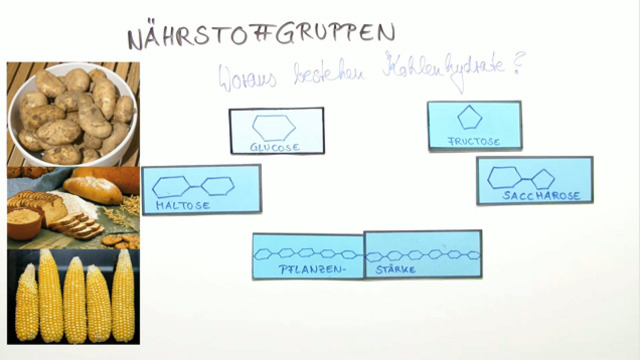 video image