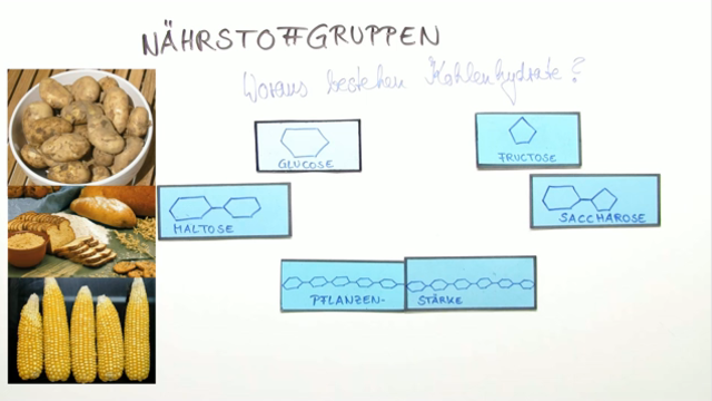 Nährstoffe und Energieumsatz