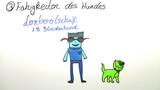Der Hund – mein Gefährte