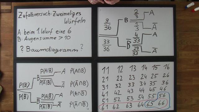 video image