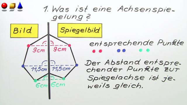 video image