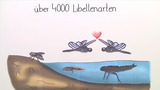 Die Libelle