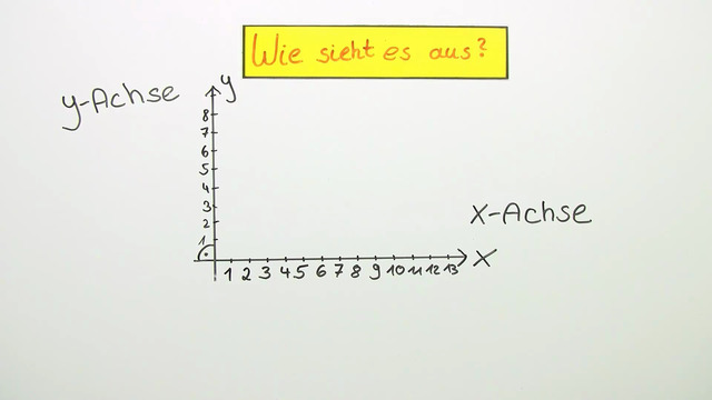 video image