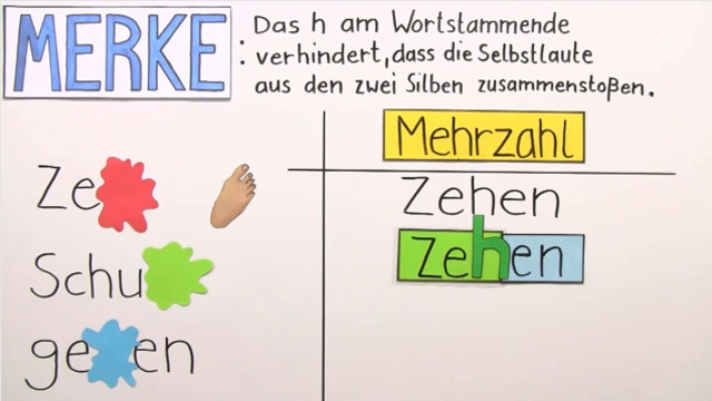 video image