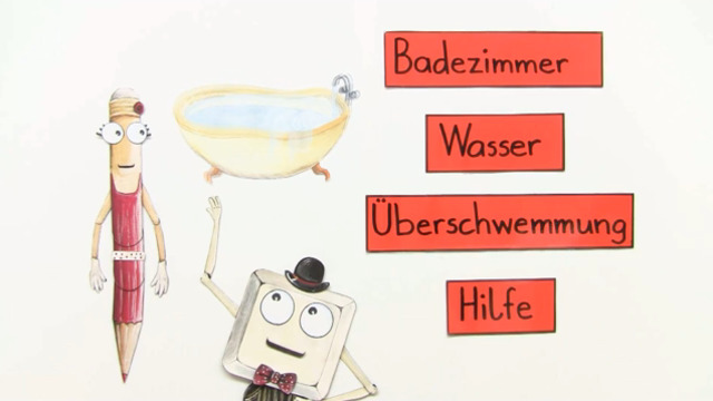 video image