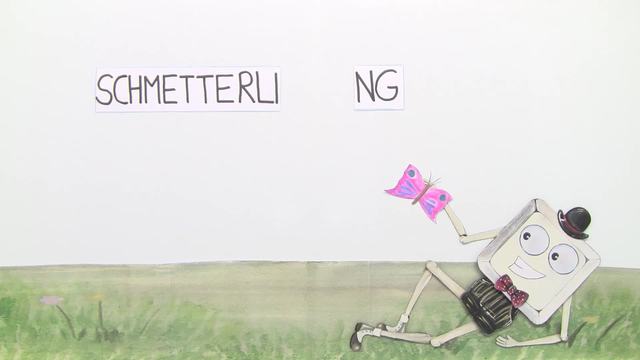video image