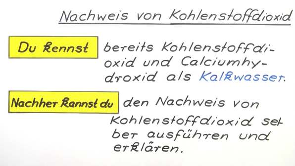 Wie Kann Man Kohlenstoffdioxid Nachweisen www.sofatutor.ch