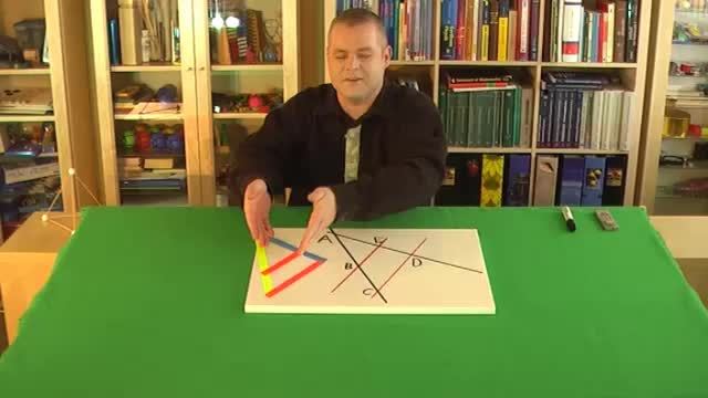 video image