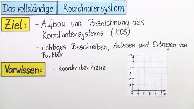 video image