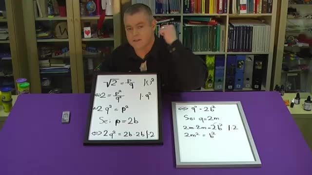 video image