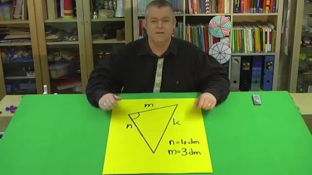 video image
