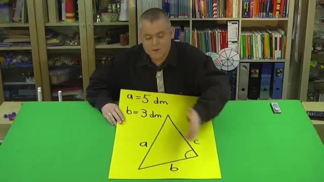 video image