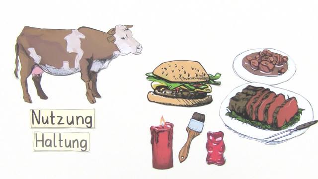video image