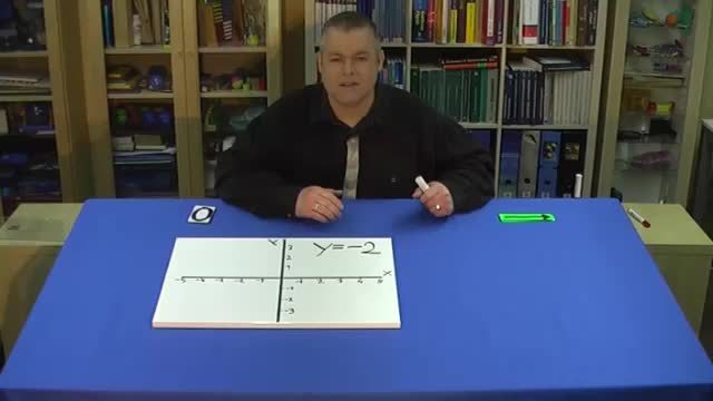 video image
