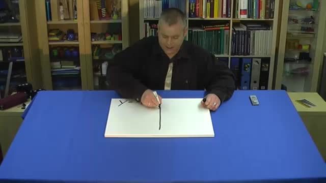 video image