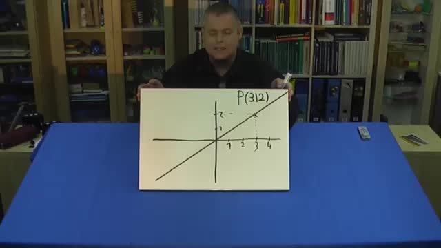 video image