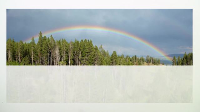 Regenbogen