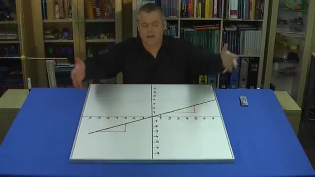 video image