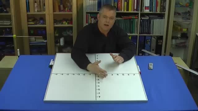 video image