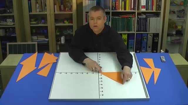 video image