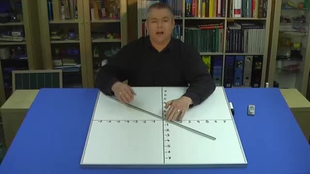 video image