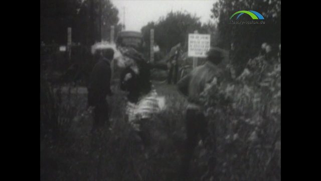 video image