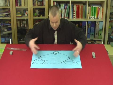 video image