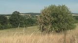 Polen - Naturraum und Klima