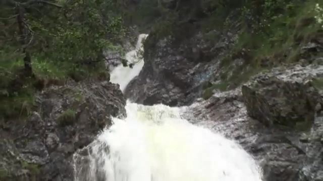 video image