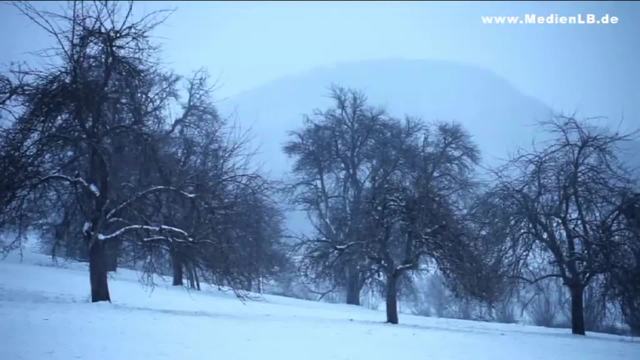 video image