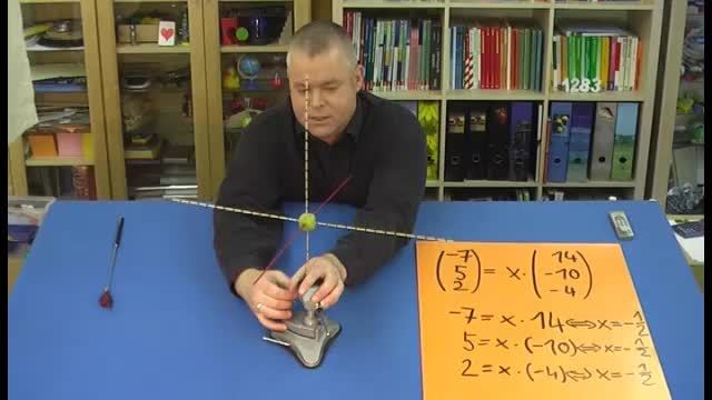 video image
