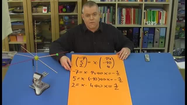 video image