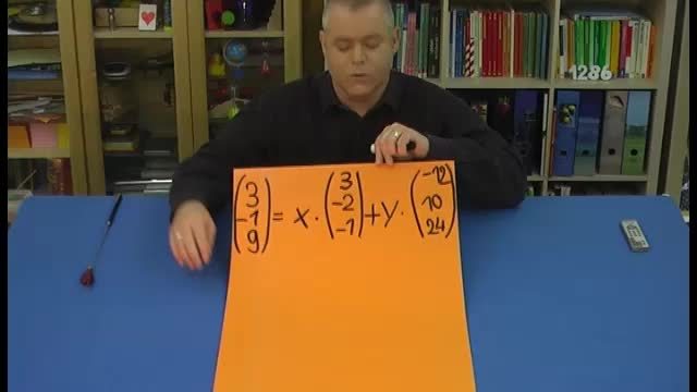 video image