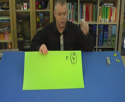 video image