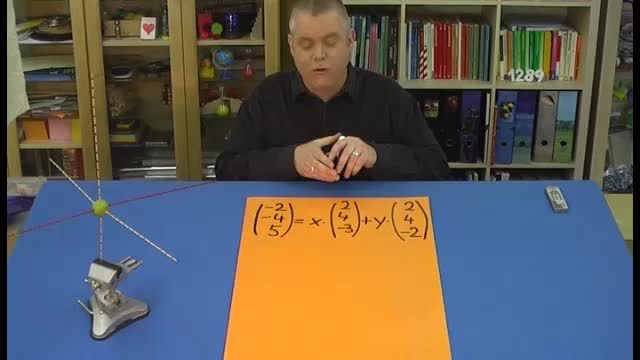 video image