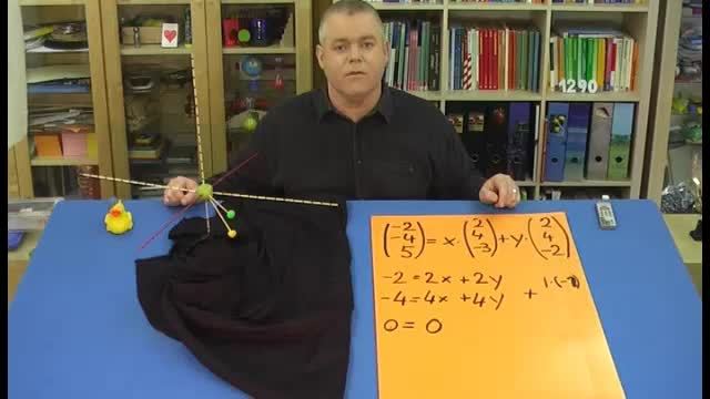 video image