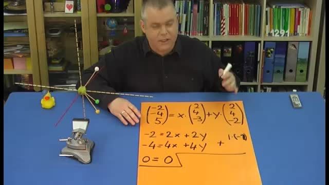 video image
