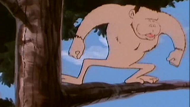 video image