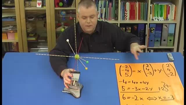video image