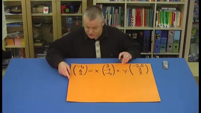 video image