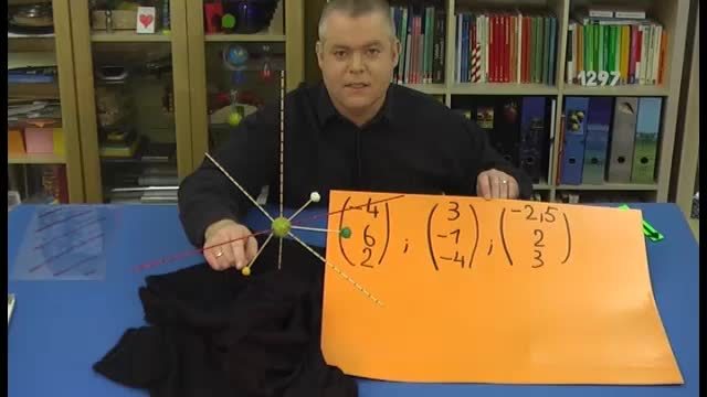 video image