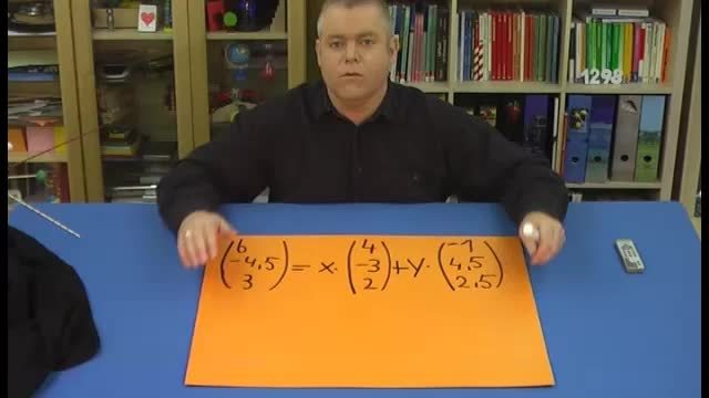video image