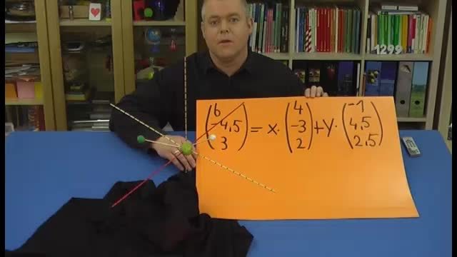 video image