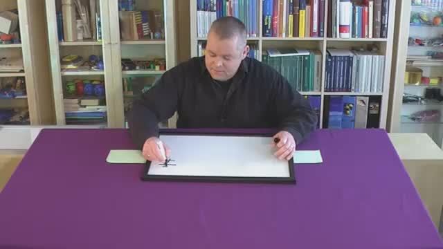 video image