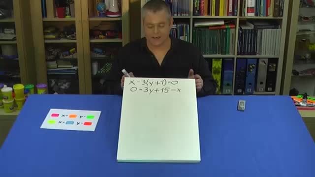 video image