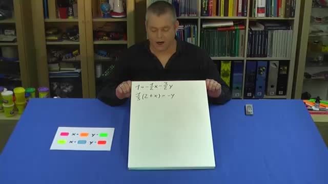 video image